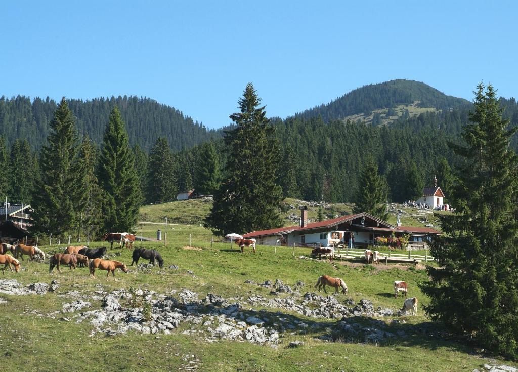 Gaestehaeuser Schwemmbauer Reit im Winkl Kültér fotó